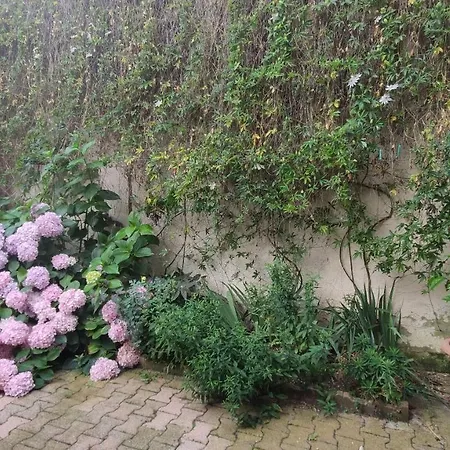 Maison Avec Cour, Proche Centre Et Gare * Vichy